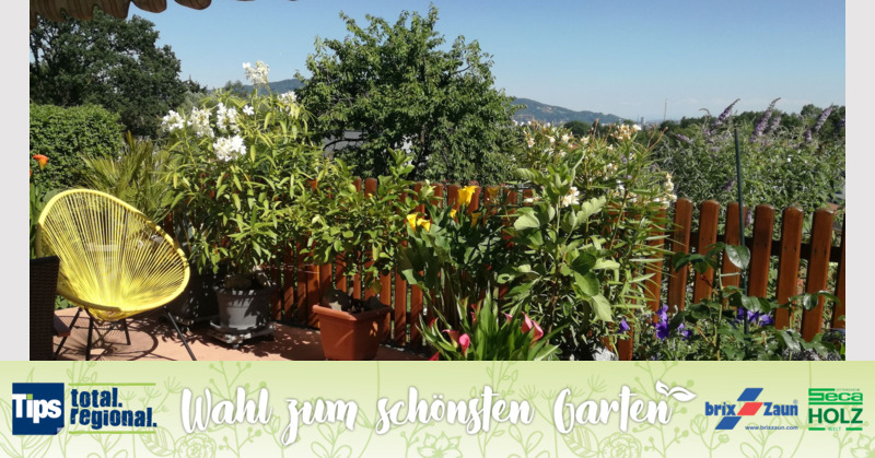 Schönster Garten 2019 - Helmut aus Linz
