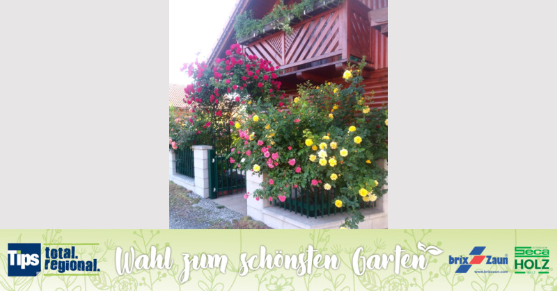 Schönster Garten 2019 - Herta aus Linz