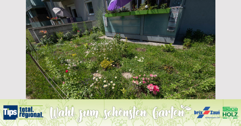 Schönster Garten 2019 - Anita aus Linz