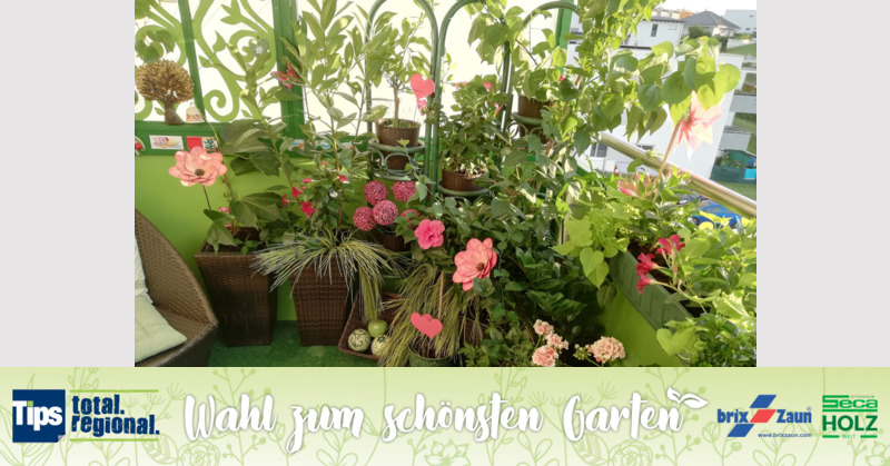 Schönster Garten 2019 - Alexandra aus Perg