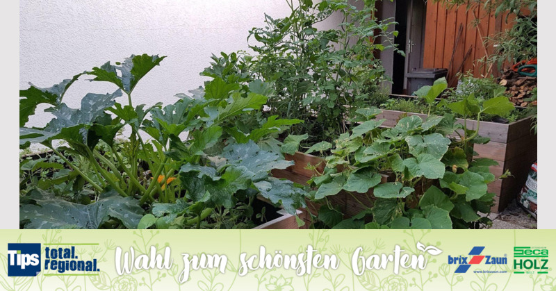 Schönster Garten 2019 - Therese aus Perg