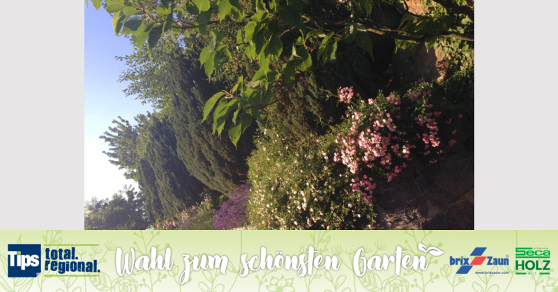 Schönster Garten 2019 - Barbara aus Perg