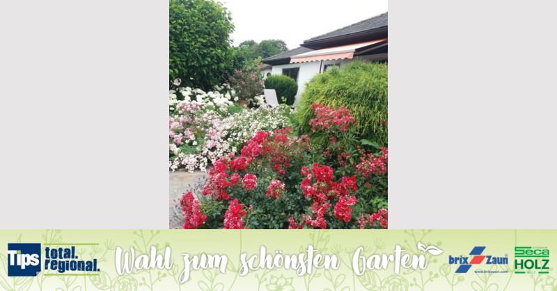 Schönster Garten 2019 - Lilli aus Ried