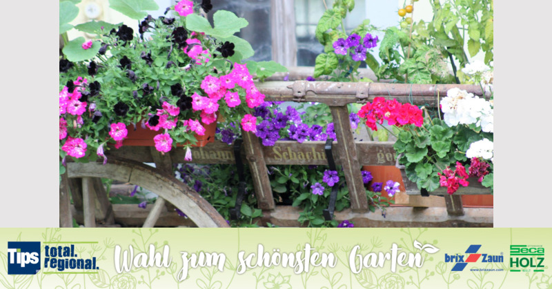 Schönster Garten 2019 - Maria aus Ried