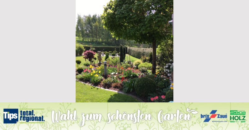 Schönster Garten 2019 - Gűnter aus Rohrbach