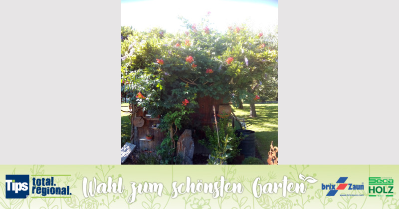 Schönster Garten 2019 - Jelena aus Schärding