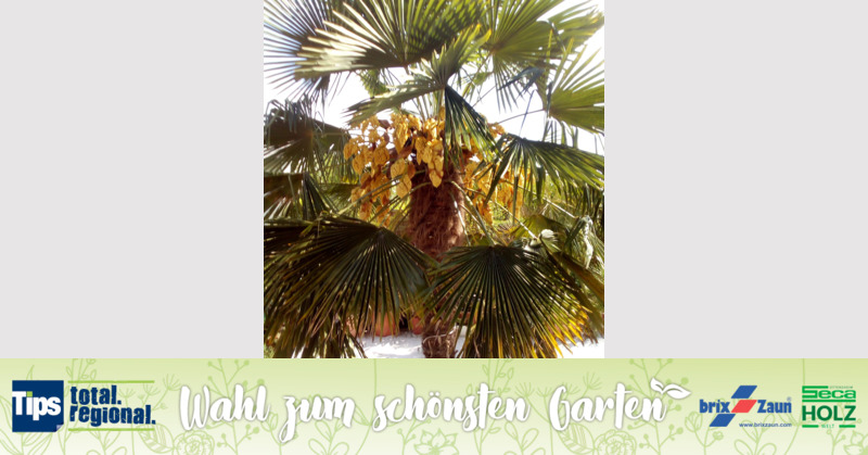 Schönster Garten 2019 - Gertrud aus Schärding