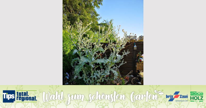 Schönster Garten 2019 - Marion  aus Steyr