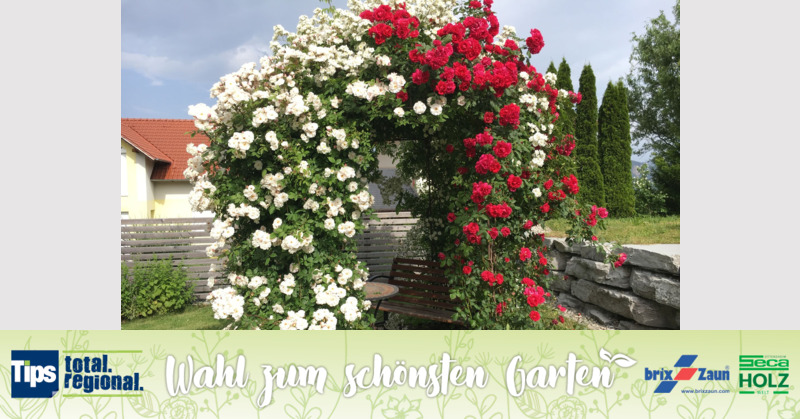 Schönster Garten 2019 - Anita aus Steyr