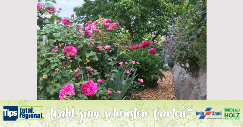 Schönster Garten 2019 - Maria aus Urfahr-Umgebung