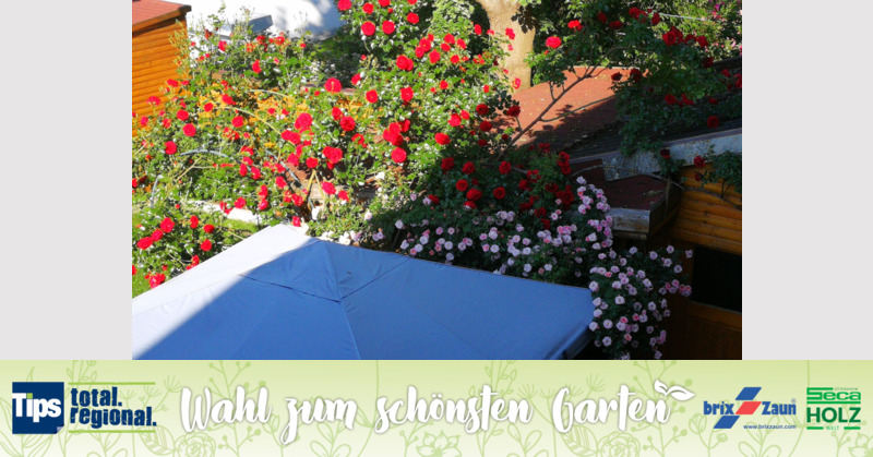 Schönster Garten 2019 - Josef aus Urfahr-Umgebung