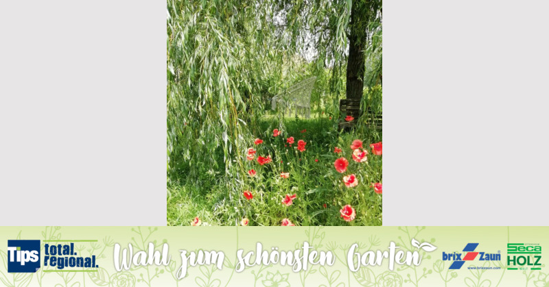 Schönster Garten 2019 - Christine aus Vöcklabruck