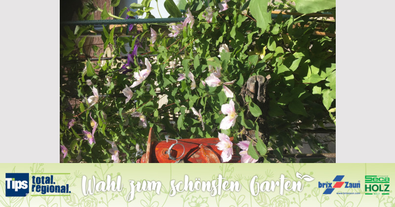 Schönster Garten 2019 - Sylvia  aus Vöcklabruck