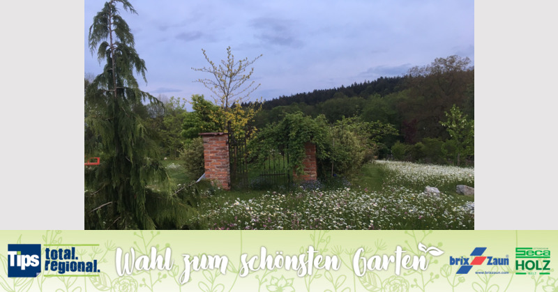 Schönster Garten 2019 - Eva aus Vöcklabruck