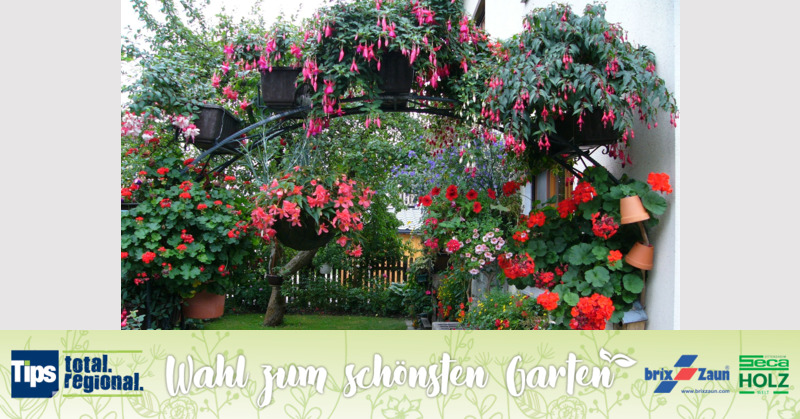 Schönster Garten 2019 - Hans aus Vöcklabruck