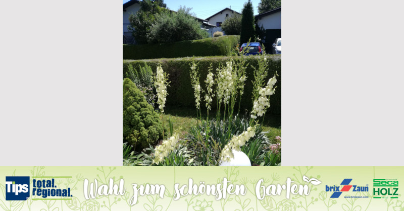 Schönster Garten 2019 - sieglinde aus Vöcklabruck