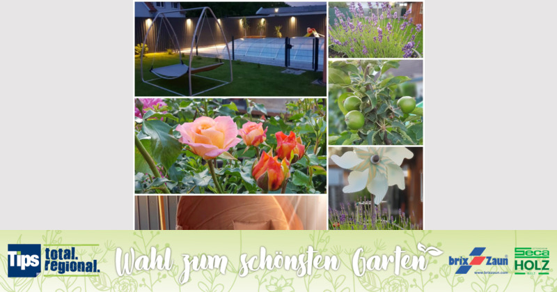 Schönster Garten 2019 - Sandra aus Wels