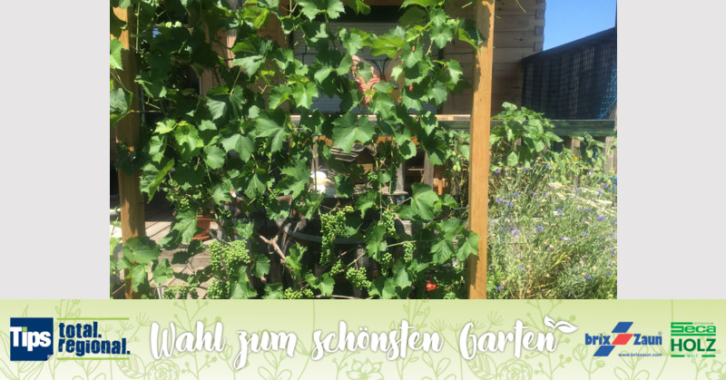 Schönster Garten 2019 - Angelika  aus Wels