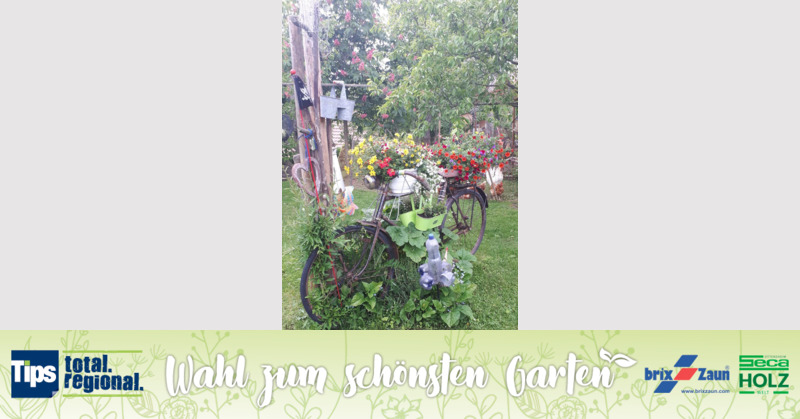 Schönster Garten 2019 - Silvia aus Wels