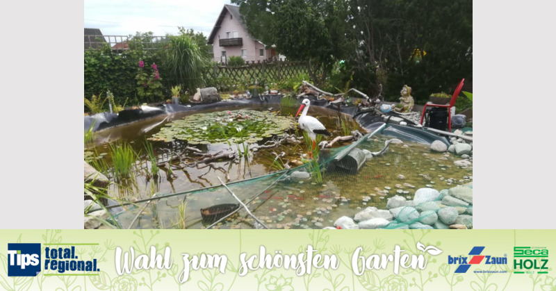 Schönster Garten 2019 - Veronika aus Wels