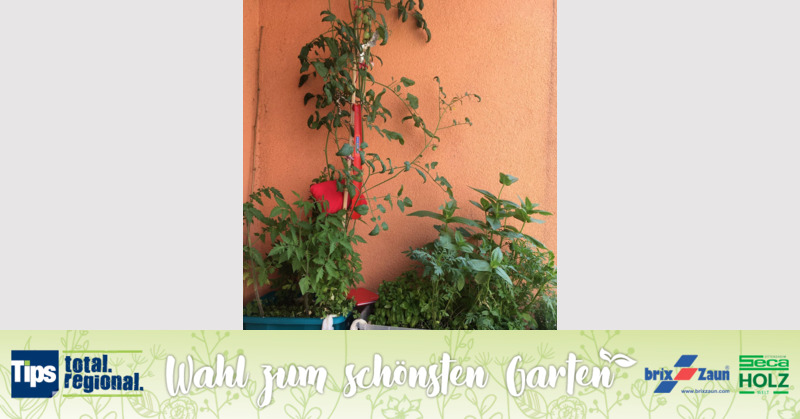 Schönster Garten 2019 - Lisa aus Wels