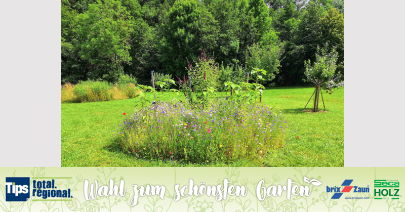 Schönster Garten 2019 - Hans aus Wels
