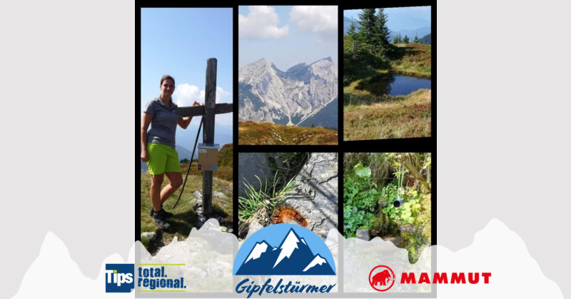 TIPS Gipfelstürmer - Isabella aus Amstetten - Kraglschinken