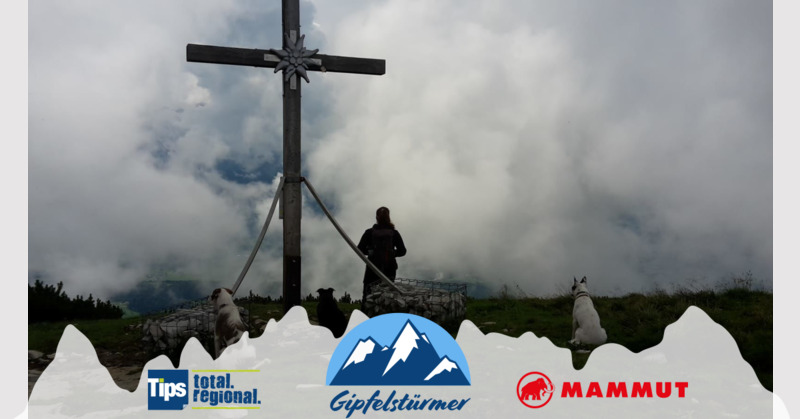 TIPS Gipfelstürmer - Elsa aus Braunau - Schleneken