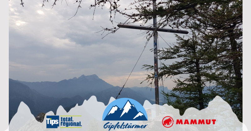 TIPS Gipfelstürmer - Elsa aus Braunau - Schoberstein