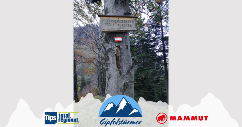 TIPS Gipfelstürmer - Nicole aus Gmunden - Freundschaftshöhe