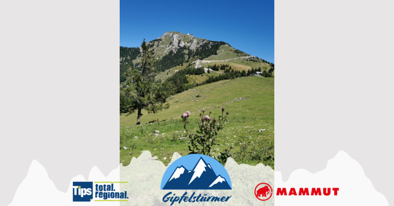 TIPS Gipfelstürmer - Marion aus Gmunden - Schafberg