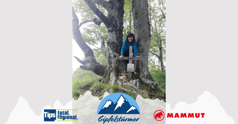 TIPS Gipfelstürmer - Claudia  aus Kirchdorf - Kienberg 