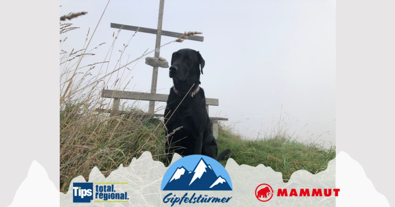 TIPS Gipfelstürmer - Jaqueline  aus Kirchdorf - Herndler Kogel 