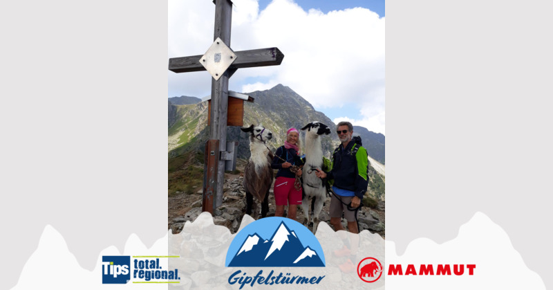 TIPS Gipfelstürmer - Elisabeth aus Kirchdorf - Hauseck mit Lamas