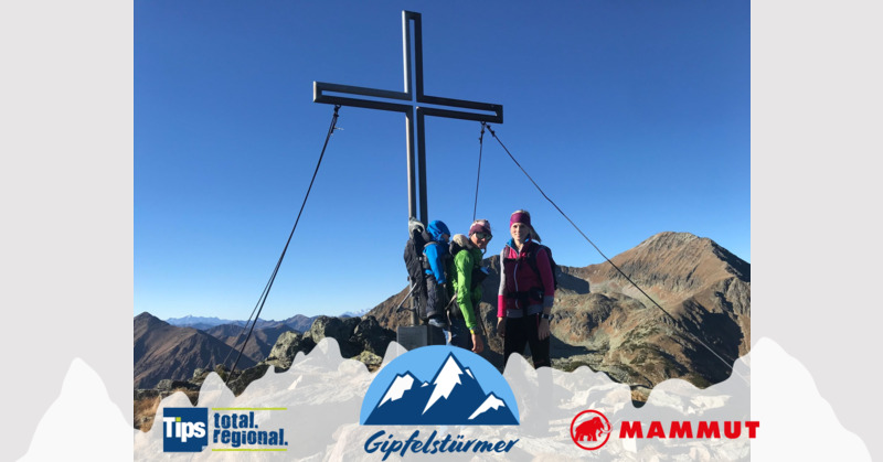 TIPS Gipfelstürmer - Tanja aus Kirchdorf - Hengst