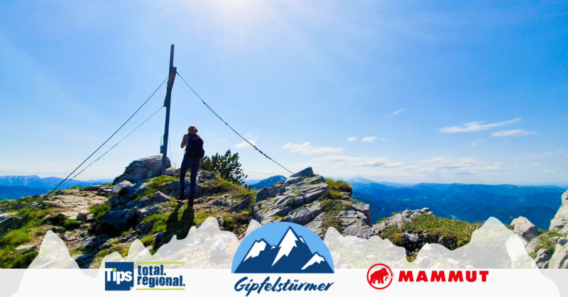 TIPS Gipfelstürmer - Friedrich aus Krems-Donau - Gippel 