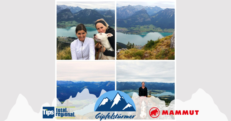 TIPS Gipfelstürmer - Gerda aus Perg - Vormauerstein