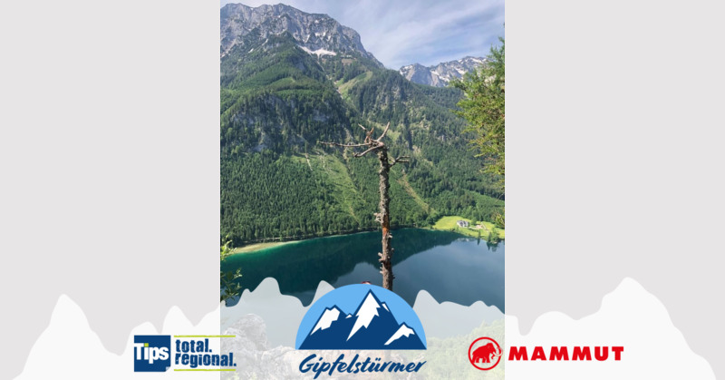 TIPS Gipfelstürmer - Nathalie aus Schärding - Signalkogel oberhalb des Langbathsees