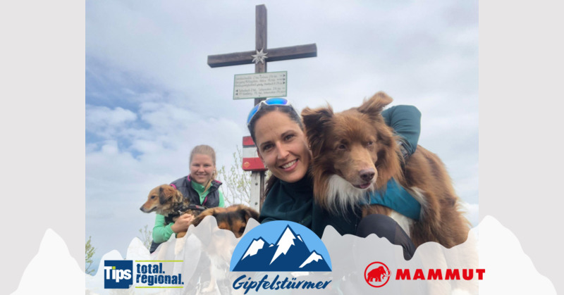 TIPS Gipfelstürmer - Iris aus Vöcklabruck - Hochsalm
