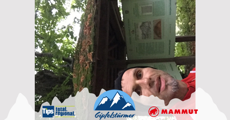 TIPS Gipfelstürmer - Stefan aus Vöcklabruck - koglberg
