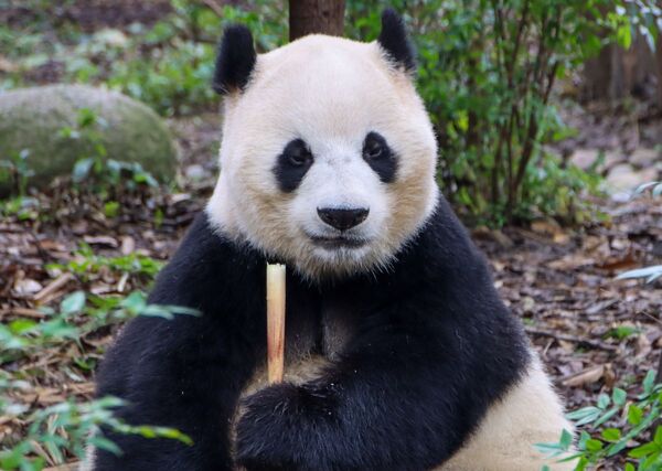 Tibet & Südwest-China