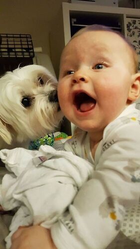 Das süßeste Babyfoto - Maximilian aus Perg