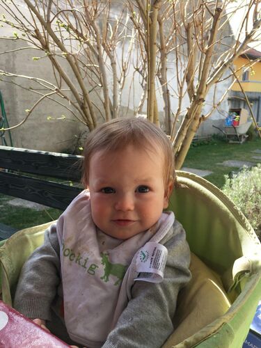 Das süßeste Babyfoto - Viktor aus Zwettl