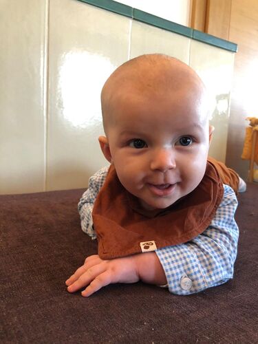 Das süßeste Babyfoto - Josef aus Ried