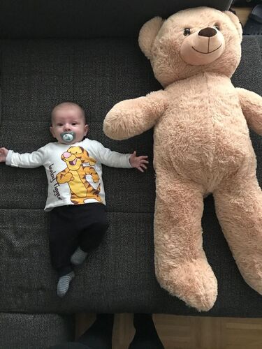 Das süßeste Babyfoto - Nico aus Ried