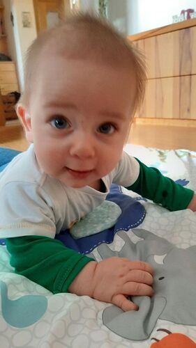 Das süßeste Babyfoto - Luca aus Schärding