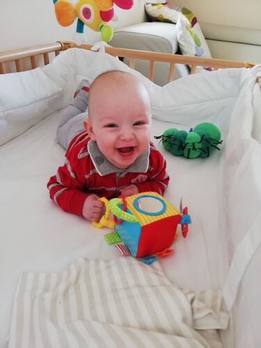 Das süßeste Babyfoto - Felix aus Braunau