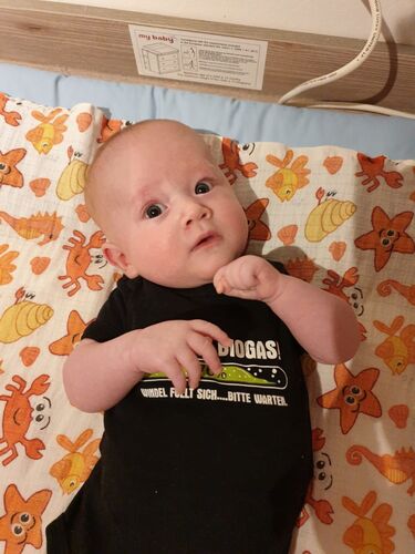 Das süßeste Babyfoto - Louis aus Eferding