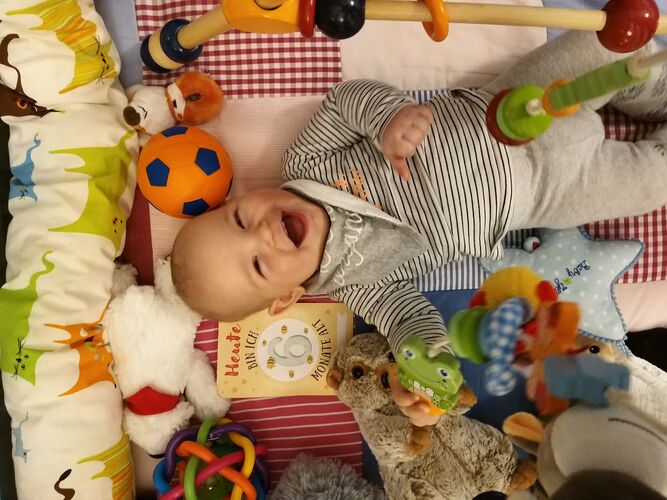 Das süßeste Babyfoto - Vincent aus Scheibbs