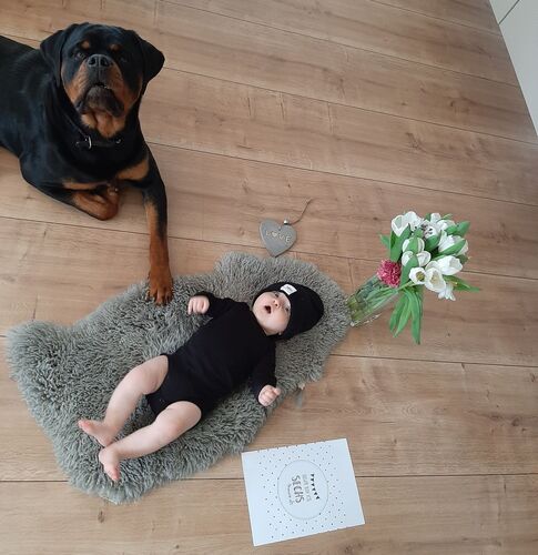 Das süßeste Babyfoto - Valentin aus Linz-Land